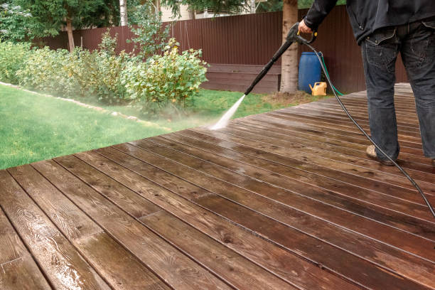 Animal Enclosure Cleaning in Wyncote, PA